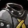 Chest