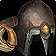Head