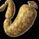 Pickled Sausage