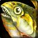 Bloated Giant Sunfish