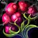 Poisonous Ivy Berries