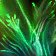 Fel Blossom
