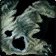 Ruined Boar Pelt