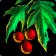 Fresh Holly