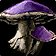 Poisonous Mushroom