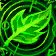 Arcanum of Nature Warding